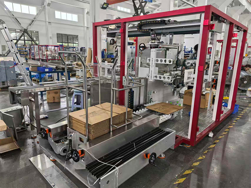 Pharmaceuticals---Side-Push-Case-Packer
